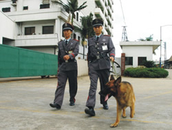 犬防服務