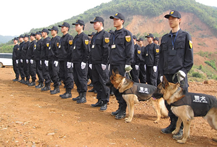 犬防護衛隊